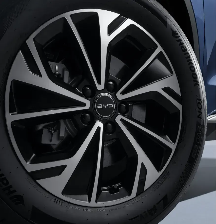 Byd sealion 5 mâm xe 18inch
